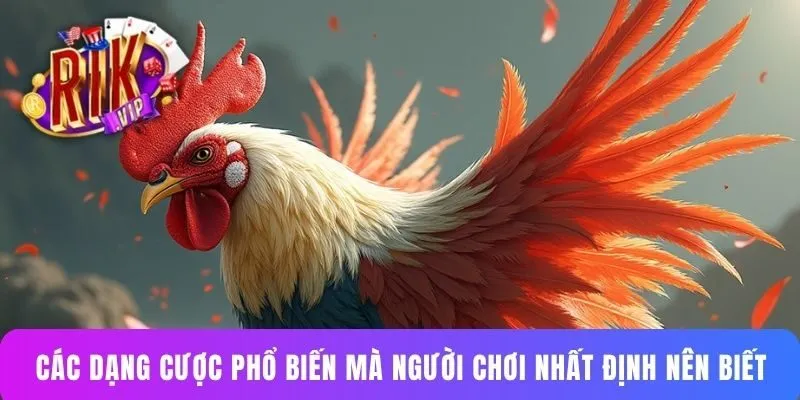 Các dạng cược phổ biến mà người chơi nhất định nên biết