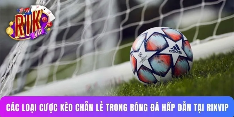 Các loại cược kèo chẵn lẻ trong bóng đá hấp dẫn tại RIKVIP