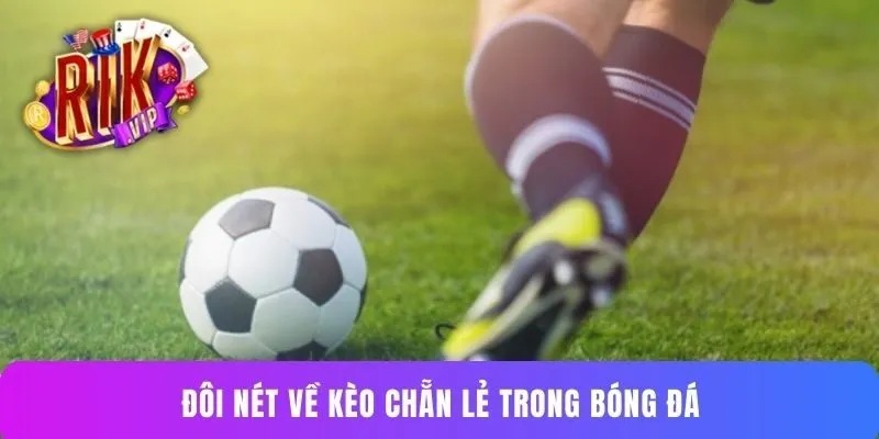 Đôi nét về kèo chẵn lẻ trong bóng đá